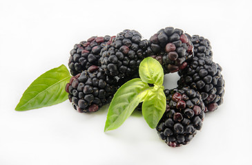 Moras
