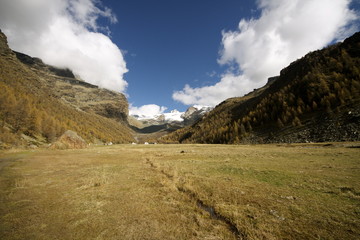 Autunno in Val d'Ayas
