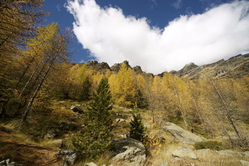 Fototapeta na wymiar Autunno in Val d'Ayas