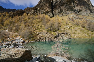 Autunno in Val d'Ayas