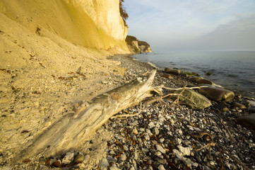 Kamienista plaża pod wapiennym klifem na wyspie Rugi