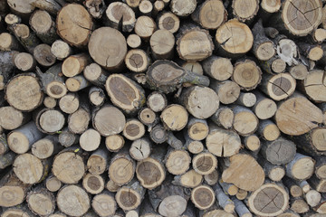 Textura de madera