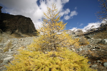 Autunno in Val d'Ayas