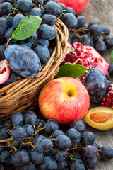 Fresh autumn fruits