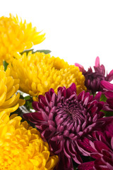 grave  flowers isolated on white