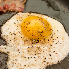 Greasy Fried Egg and Bacon