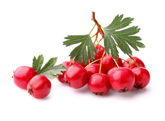 Hawthorn berry