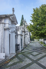 Fototapeta na wymiar Cemitério dos Prazeres Lisboa (Friedhof der Freuden Lissabon)