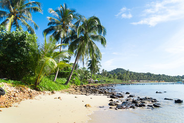 Jungle Lagoon Idyllic Island