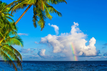 Rest in Paradise - Malediven - Regenbogen, Himmel und Strand