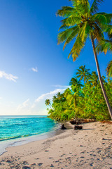 Rest in Paradise - Malediven -  Himmel, Strand und Palmen