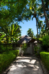 Fototapeta na wymiar Rest in Paradise - Malediven - Eingang zum Garten