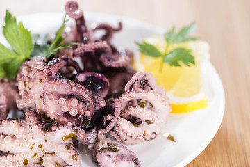 Portion of Octopus Salad