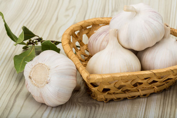 Garlic