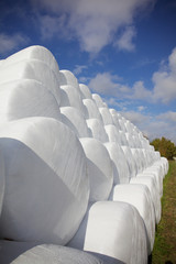 Freiluftlager - Ballen von Silage