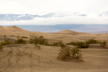 Fototapeta na wymiar Death Valley (cloudy)
