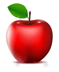 red apple isolated for you design