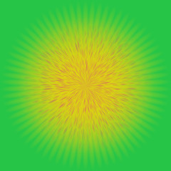 Fototapeta premium dandelion, sun or star texture on green