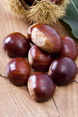 natural chestnuts, fresh fruits of the season of autumn