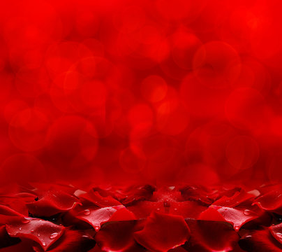 Red rose petals background.