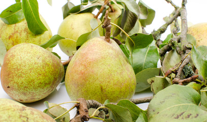 Pears
