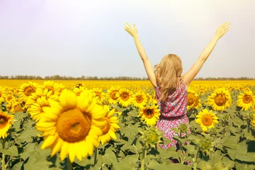 Fototapete Sonnenblume Young woman in sunflower field