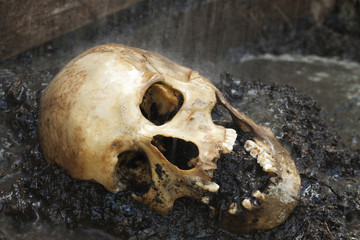 Genuine human skull figured as crime scene, very narrow focus