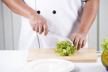 Chef's hands cutting lettuce