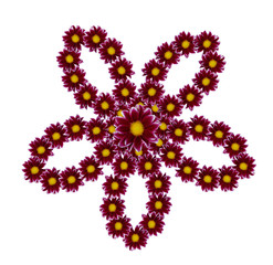 Flower silhouette isolated on white