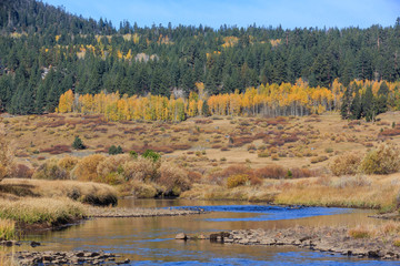 Hope Valley, Fall Time