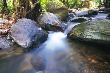 Tad kaeng nyui Waterfall II