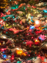 Fototapeta na wymiar Snow Covered Christmas Tree with Multi Colored Lights