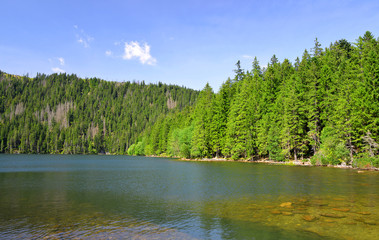 Fototapeta na wymiar Black Lake in the National park Sumava,Czech republic