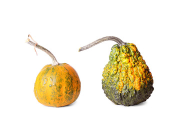 Decorative pumpkin isolated on white background