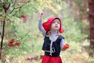 Little Red Riding Hood in the woods