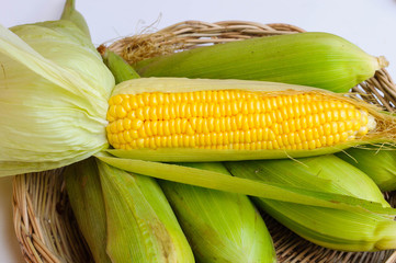 fresh corn in basket on white background