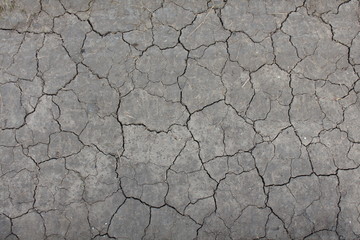 cracked earth