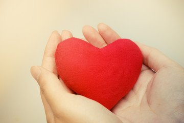 Fototapeta premium hands holding a red heart