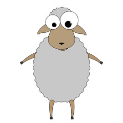 sheep