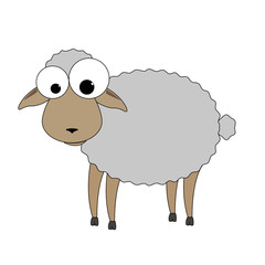 sheep