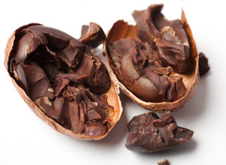 Raw cocoa beans. Studio shot. White background.