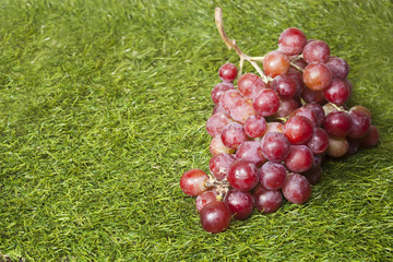 red grape