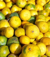 Yellow ripe miyakawa from Sicily for sale at the local market