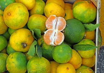 tangerines with green Peel from sicily  for sale
