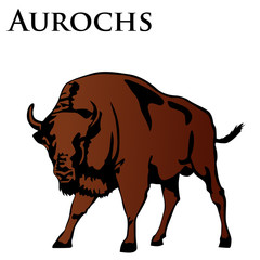 brown aurochs vector illustration