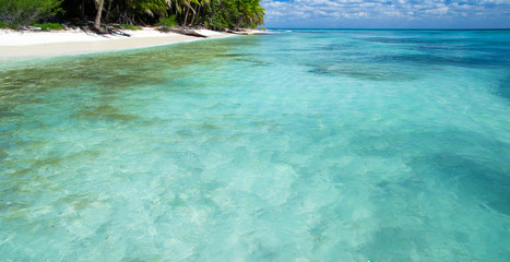Obraz premium tropical sea