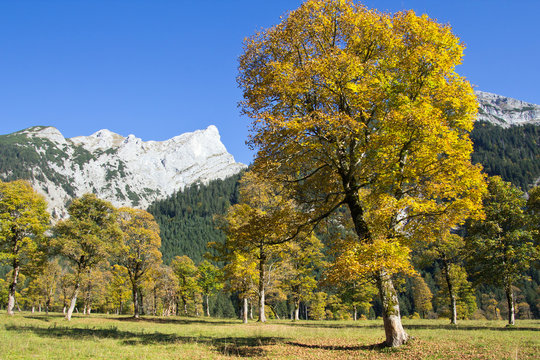 Tirol, Gro&szlig;er Ahornboden