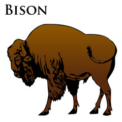 colored bison illustration © Iosif