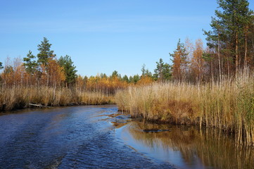 река