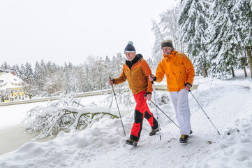 Winter-Walking